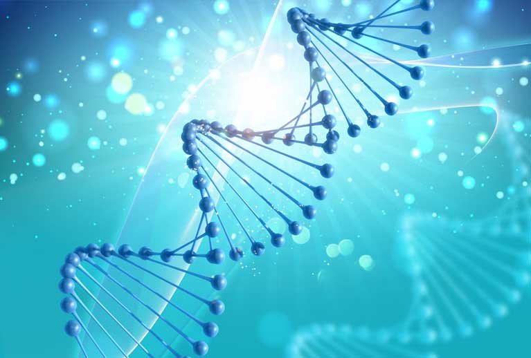 Molecular Biology Laboratory